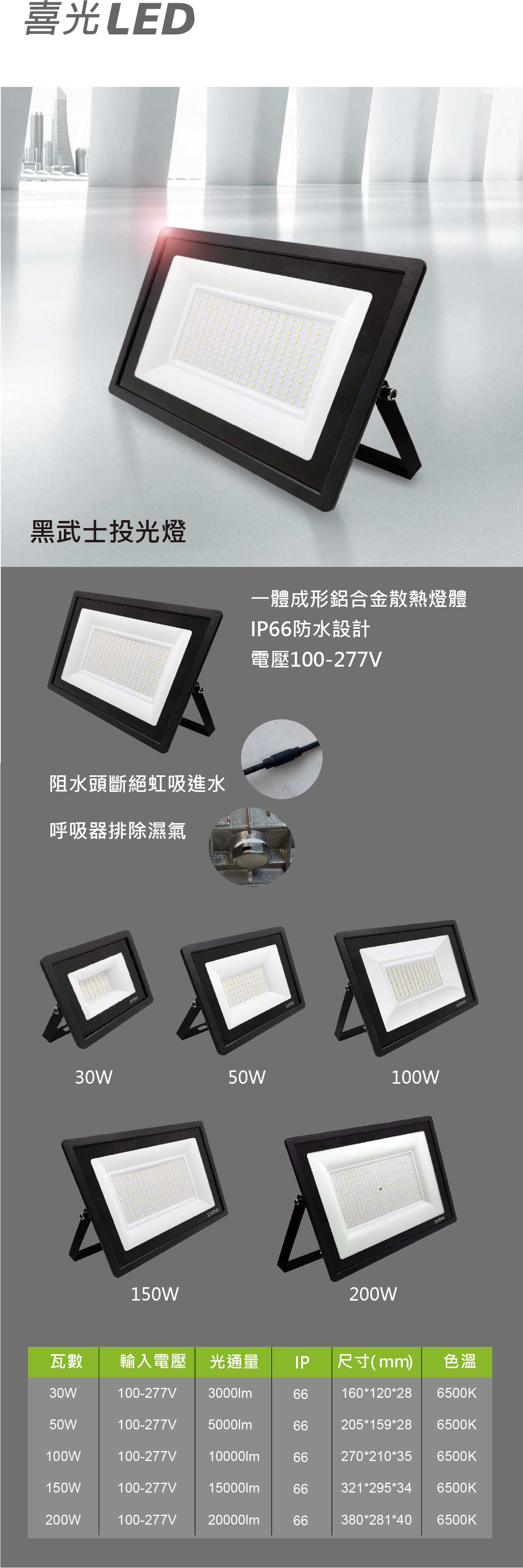 黑武士 戶外防水投光燈